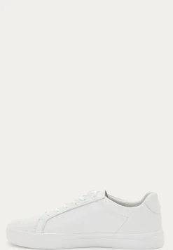 Cody Sneakers