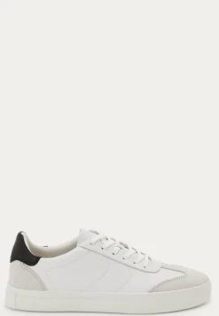 Cody Sneakers