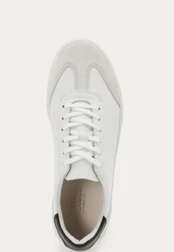 Cody Sneakers