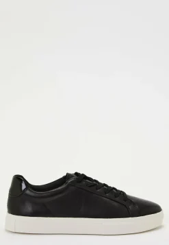 Cody Sneakers